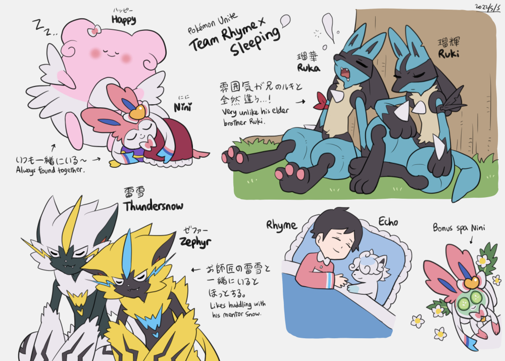 Pokemon Unite Team Rhyme X Sleeping Atelier Tenko